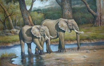 dw010dD Tier Elefant Ölgemälde